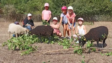 Vacances d'été - 16 au 18 août 2023