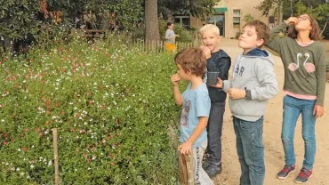 Mercredis de septembre 2019