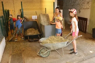 Vacances d'été - 15 au 19 juillet 2019