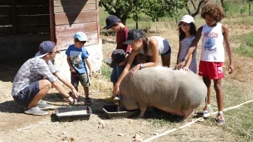 Vacances d'été - 7 au 11 août 2017