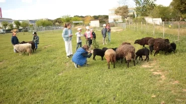 Vacances de printemps - 15 au 19 avril 2024
