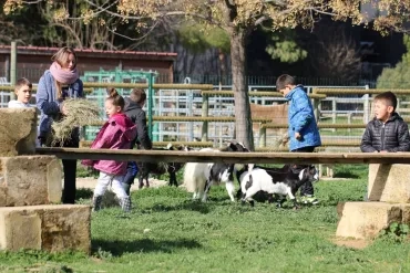Vacances d'hiver - 4 au 8 mars 2019