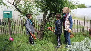 Mercredis de mai 2016