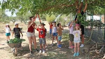 Vacances d'été - 18 au 22 juillet 2022