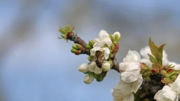 Mercredis d'avril 2016