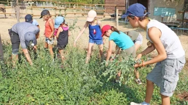 Vacances d'été - 26 au 30 août 2019