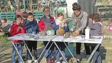Mercredis de novembre 2017