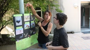 Mercredis de juin 2016