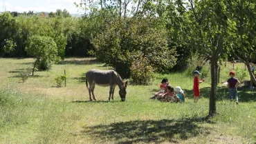 Vacances d'été - 11 au 13 juillet 2016