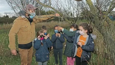 Mercredis de novembre 2020