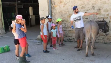Vacances d'été - 8 au 12 août 2016
