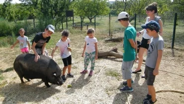 Vacances d'été - 1er au 5 août 2016