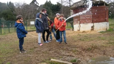 Mercredis de janvier 2019