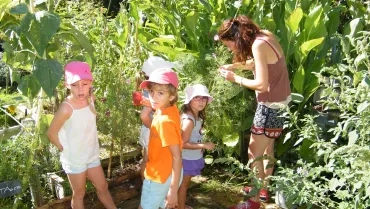 Vacances d'été - 22 au 26 août 2016