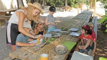 Vacances d'été - 22 au 26 juillet 2019