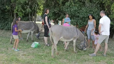 Mercredis de juin 2018