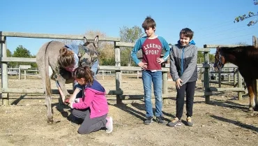 Vacances d'automne - 30 octobre au 3 novembre 2017