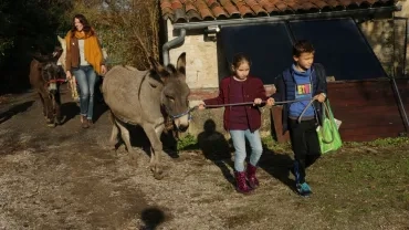Mercredis de novembre 2016