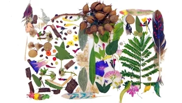 Vacances d'été - 29 juillet au 2 août 2019