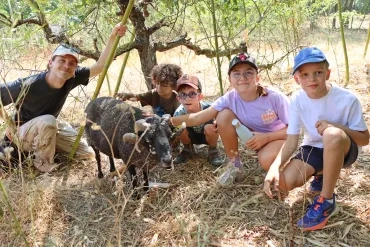 un groupe d'enfants et leur animateur caressent un bélier