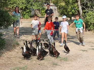Un groupe d'enfants et leurs animateurs encerclent des canards