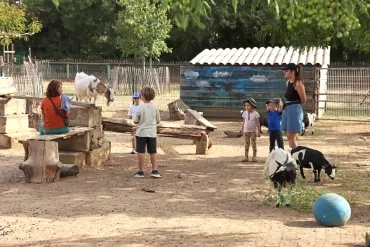 Un groupe d'enfants et leur animatrices sont entourés de chèvres dans leur enclos