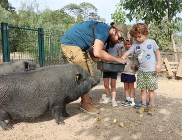 Un groupe d'enfants et leur animateur apportent à manger à deux cochons