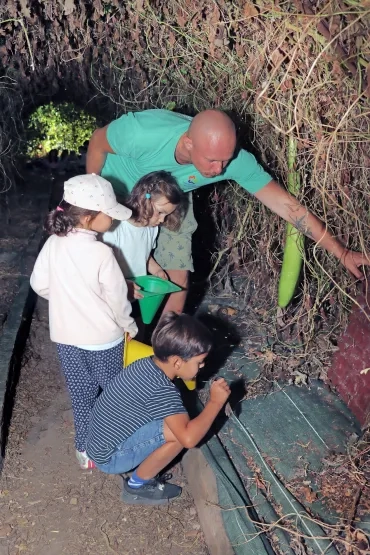 Un groupe d'enfants et leur animateur soulèvent des plaques dans un jardin