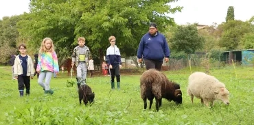 Un groupe d'enfants et leur animateur sont derrière trois moutons qui broutent dans leur pré