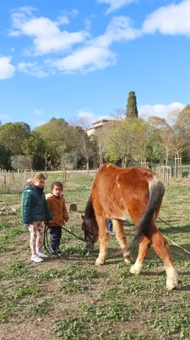 deux enfant tiennent un cheval