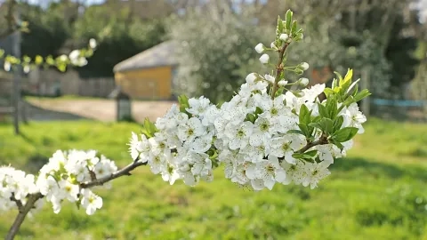 Mercredis de mars 2019