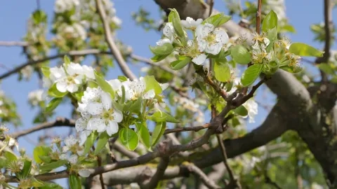 Vacances de printemps - 16 au 20 avril 2018
