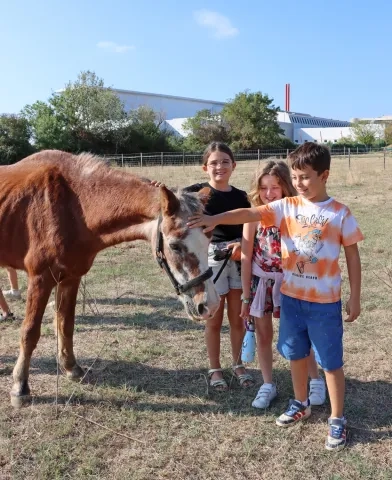 Un groupe d'enfants caresse un cheval