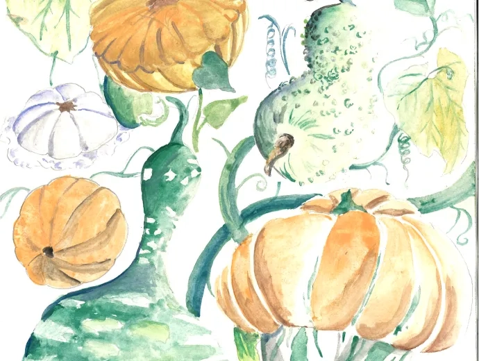 dessin de courges