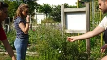 deux adultes sentent de la verveine citronnée