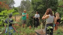 Un animateur présente un olla à un groupe d'adultes