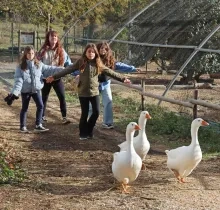 un groupe d'enfants et leur animatrice ouvrent les bras derrière trois oies