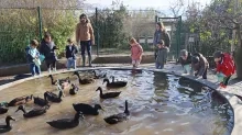 un groupe d'enfants et leurs animateurs sont autour de la mare des canards