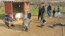 Matinée Parents 09-02-2019