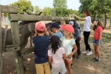 Vacances d'été - 27 au 31 août 2018