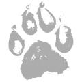 Illustration d'une empreinte de chien