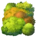 Illustration d'une haie variée