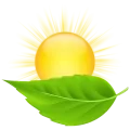 Illustration d'une feuille d'arbre verte devant un soleil