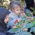 deux enfants et leur animatrice observent une feuille avec une loupe