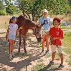 Un groupe d'enfants et leur animatrice promènent deux chevaux