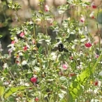 Mercredis de mai 2019