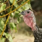 Mercredis de septembre 2018