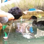 Vacances d'été - 1er au 5 août 2016