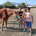 Un groupe d'enfants caresse un cheval