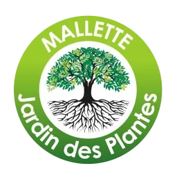 Image ronde d'un arbre garni de feuilles vertes et de longues racines